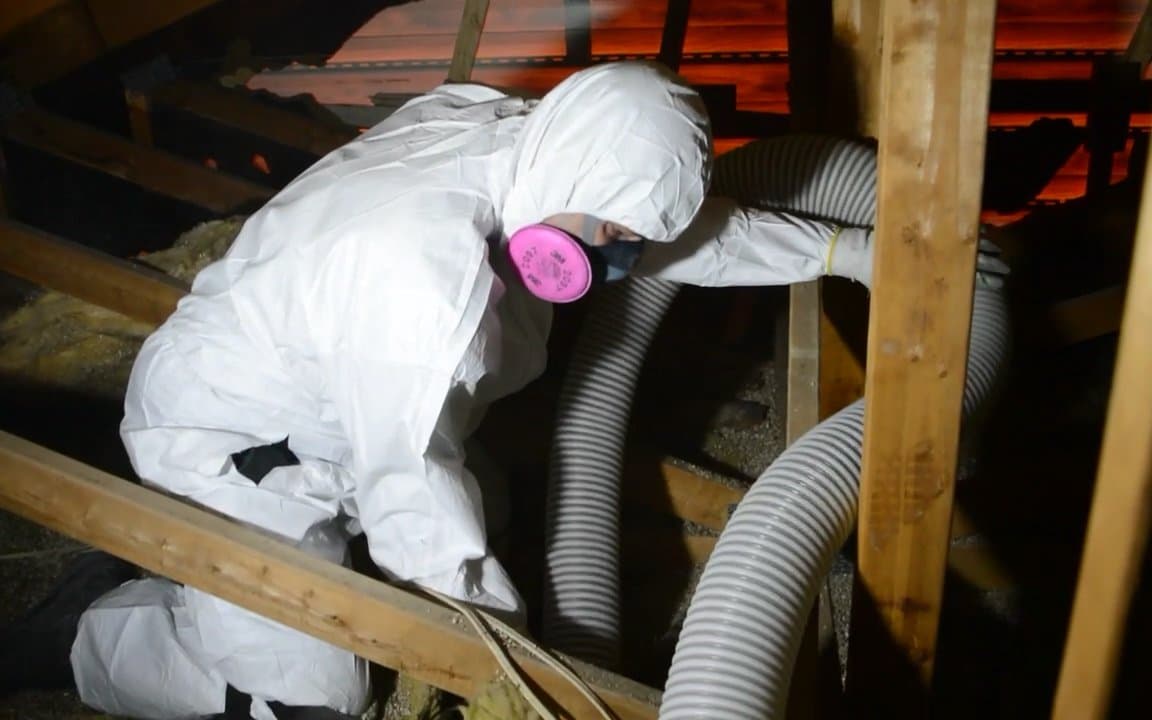 Technician in a protective suit and respirator in an attic, with vacuum hoses